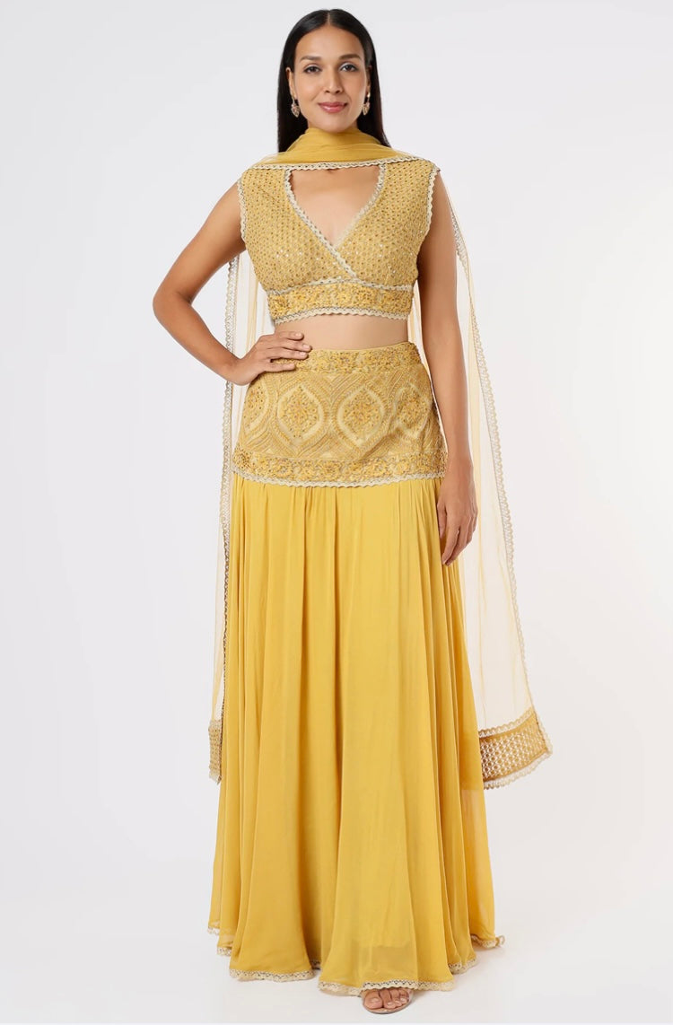 Mustard Lehenga with Thread and Swarovski work